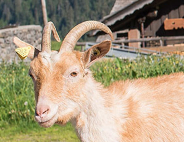 Capture decran 2024 09 07 a 16.33.13